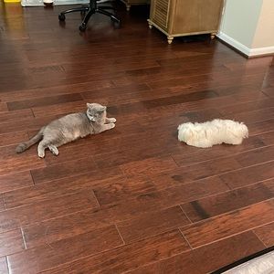 Meet your Posher, Doris